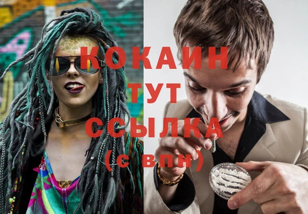 кокаин Богданович