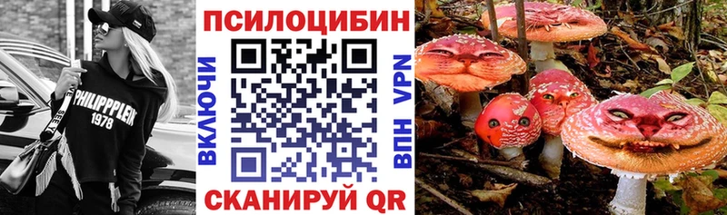 Галлюциногенные грибы Psilocybe  Самара 